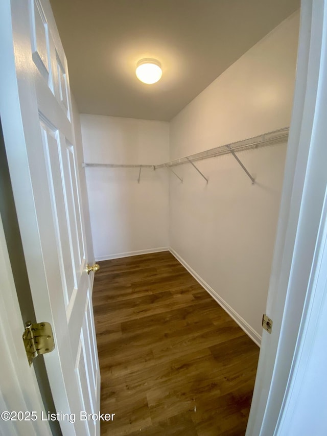 walk in closet with dark wood finished floors