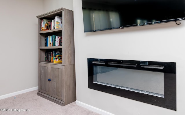 details featuring carpet flooring and baseboards