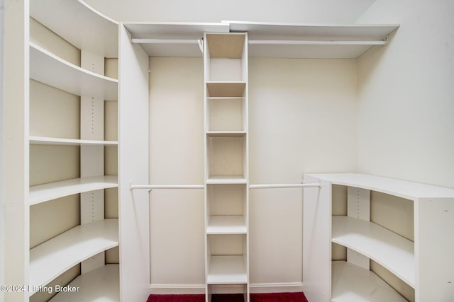 view of walk in closet