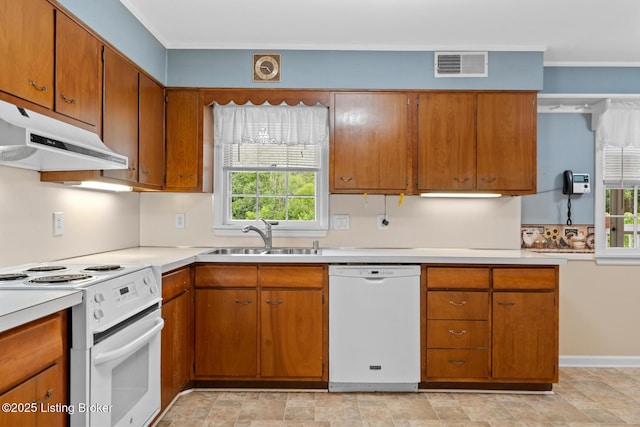 9111 Royal Oak Dr, Louisville, KY 40272 - kitchen featuring white appliances, a sink, under cabinet range hood, light countertops, and brown cabinets