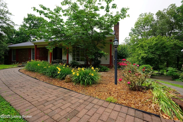 9111 Royal Oak Dr, Louisville, KY 40272 - view of home's exterior with a chimney