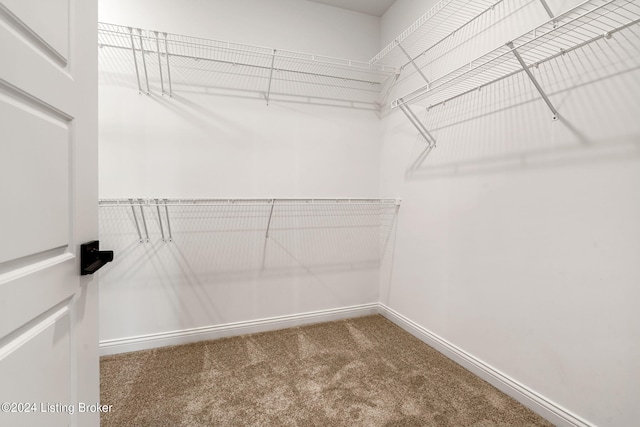 walk in closet featuring carpet