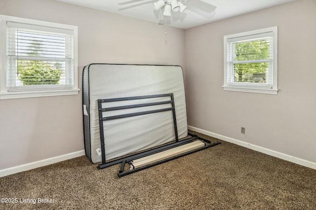 interior space with carpet, ceiling fan, and baseboards