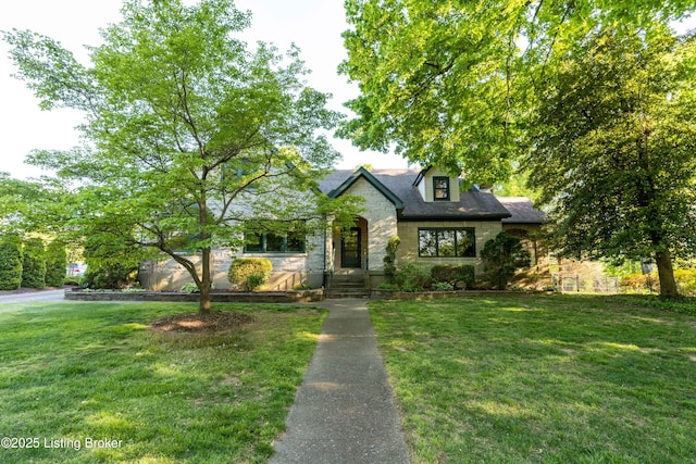 view of front of property with a front lawn and stone siding