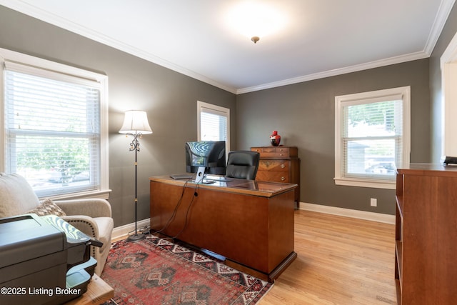 office featuring crown molding, light wood finished floors, a wealth of natural light, and baseboards