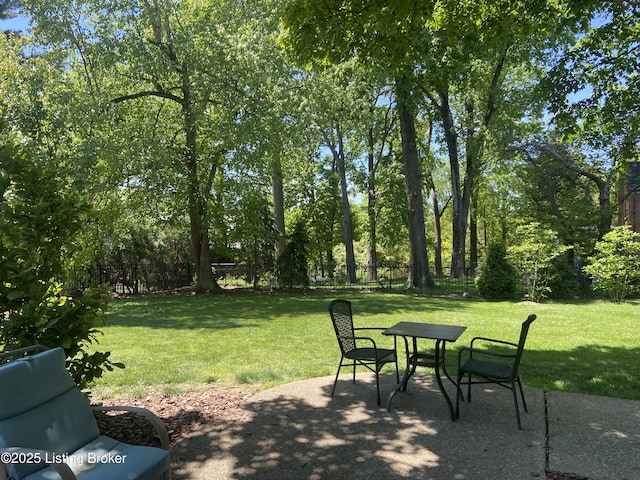 view of yard with a patio and a fenced backyard
