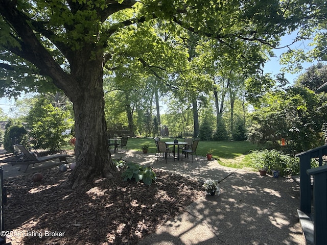 view of yard with a patio and outdoor dining area