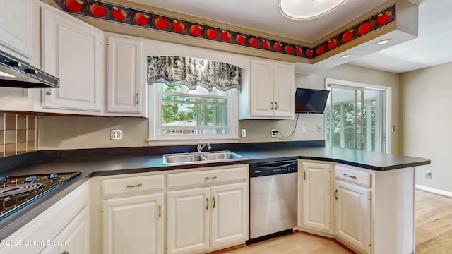 kitchen featuring stainless steel dishwasher, a sink, a healthy amount of sunlight, and dark countertops