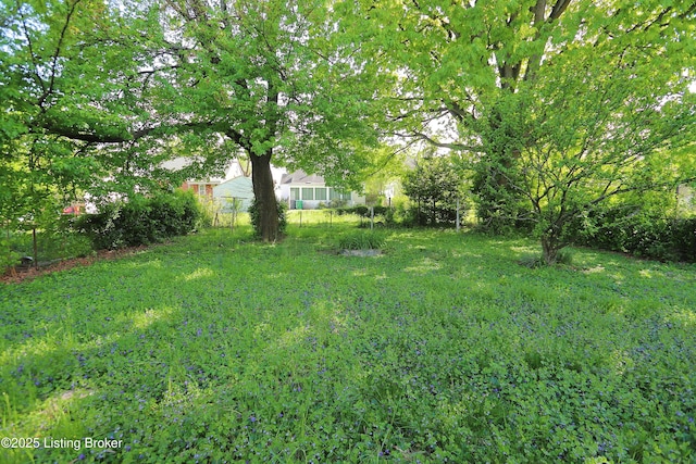 view of yard
