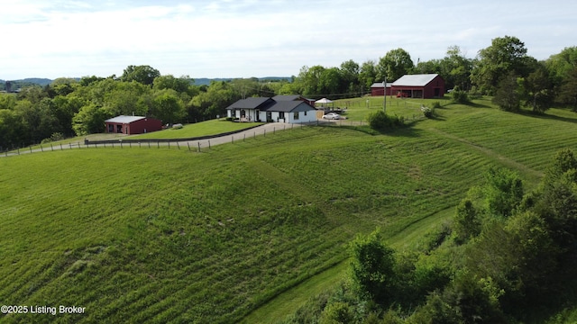 4200 Raywick Rd, Raywick, KY 40060 - overview of rural landscape featuring a pastoral area