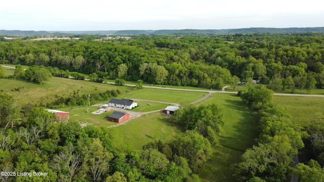 4200 Raywick Rd, Raywick, KY 40060 - view of rural area featuring a heavily wooded area