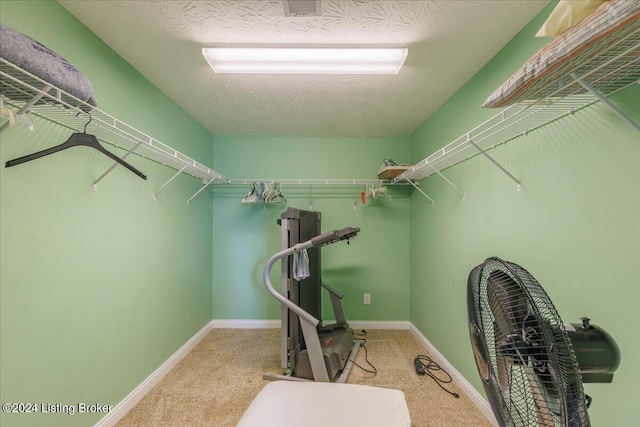 spacious closet featuring carpet floors