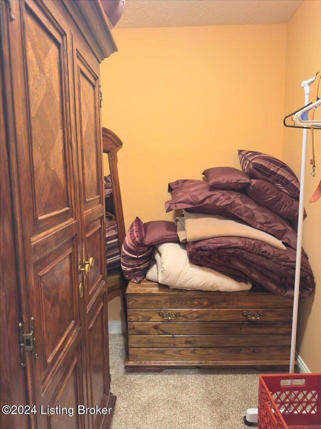 bedroom with baseboards and carpet floors