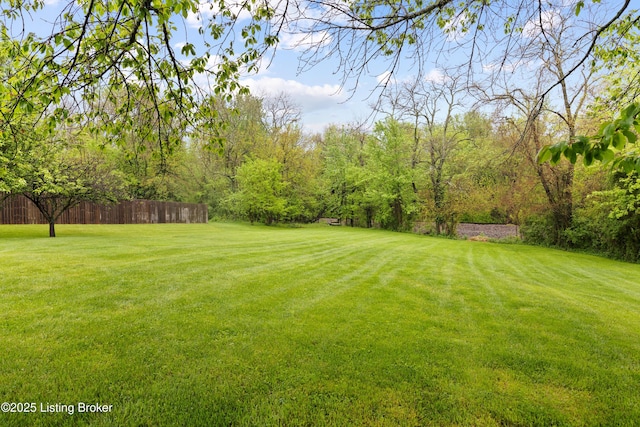 117 Fairview Dr, Waddy, KY 40076 - view of yard with fence