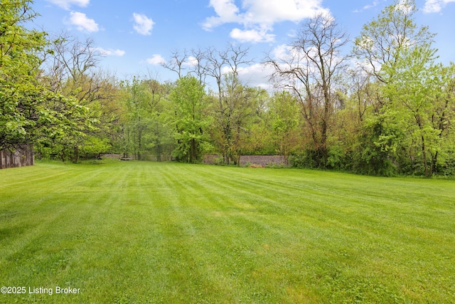 117 Fairview Dr, Waddy, KY 40076 - view of yard