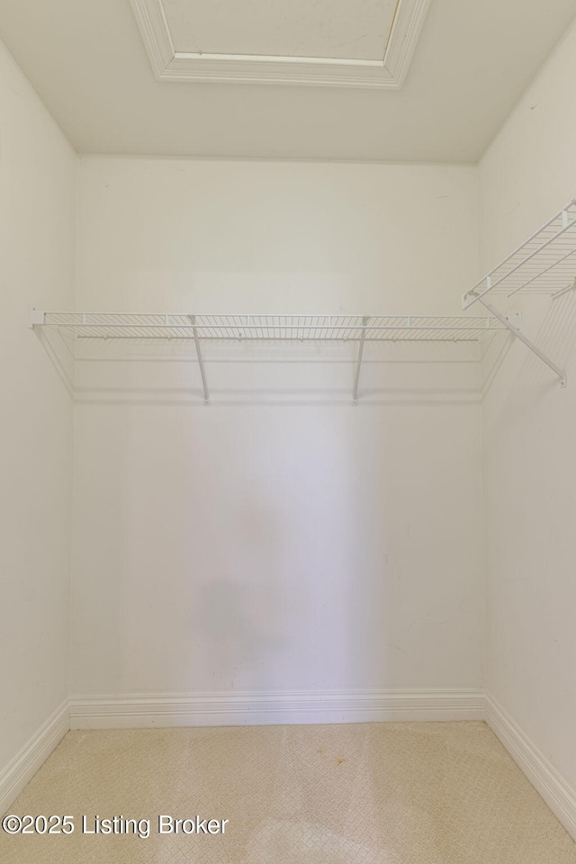 walk in closet with light carpet and attic access
