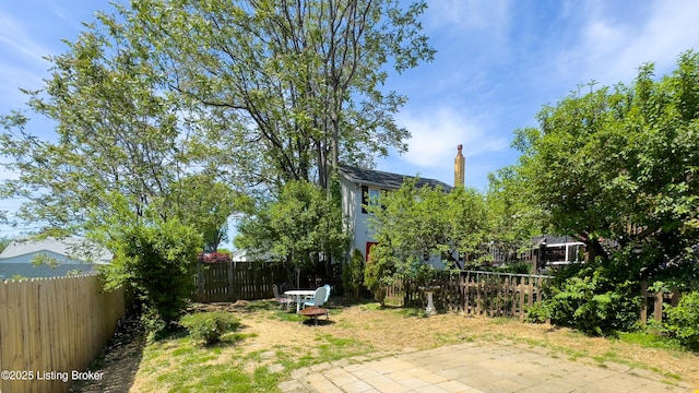 view of yard with a patio and a fenced backyard