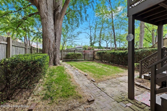 view of yard with a patio area and a fenced backyard