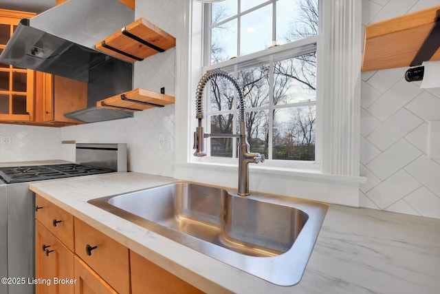 206 E Madison St, La Grange, KY 40031 - kitchen featuring stainless steel range with gas cooktop, a sink, tasteful backsplash, open shelves, and healthy amount of natural light