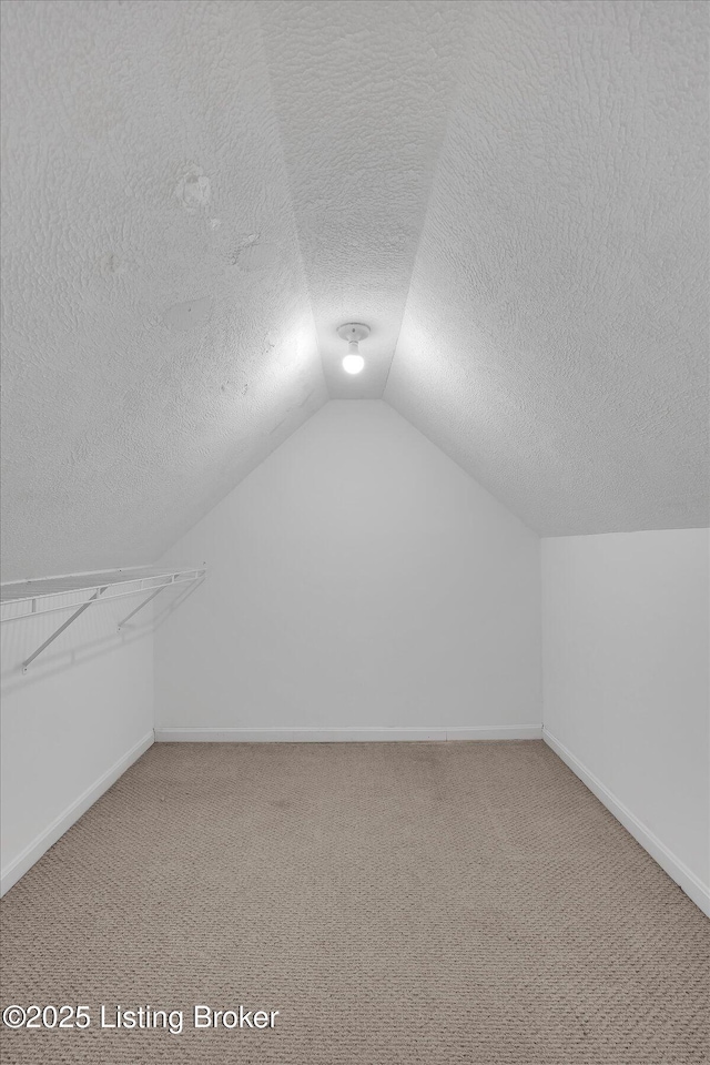 206 E Madison St, La Grange, KY 40031 - bonus room featuring carpet flooring, baseboards, lofted ceiling, and a textured ceiling