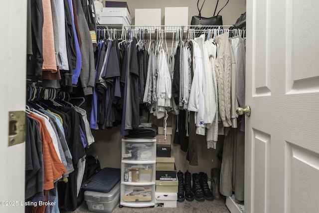 216 Willow Creek Dr, Mt Washington, KY 40047 - spacious closet featuring carpet flooring