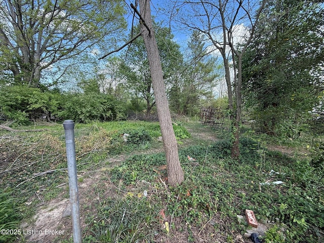 95 Smithfield Rd, Shelbyville, KY 40065 - photo 4