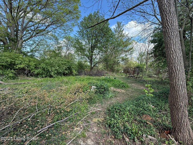 95 Smithfield Rd, Shelbyville, KY 40065 - photo 5