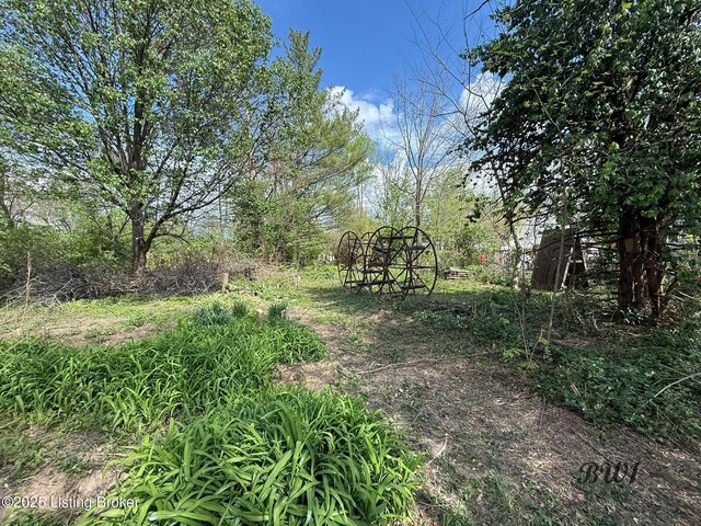 95 Smithfield Rd, Shelbyville, KY 40065 - photo 6