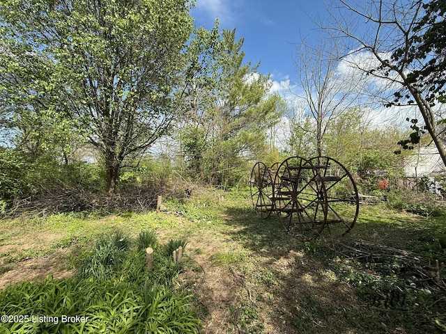 95 Smithfield Rd, Shelbyville, KY 40065 - photo 9