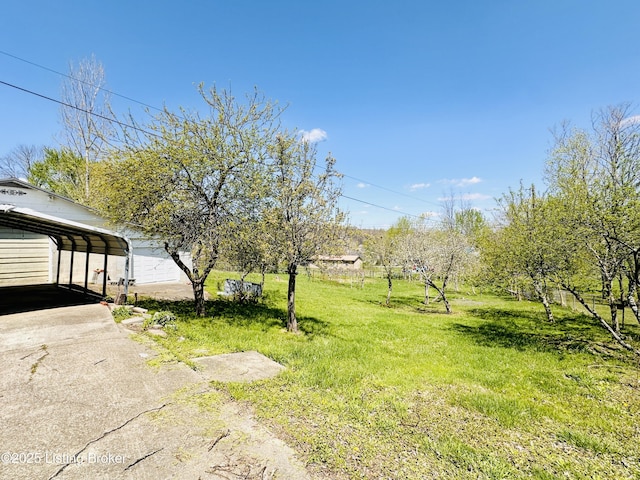 view of yard with concrete driveway