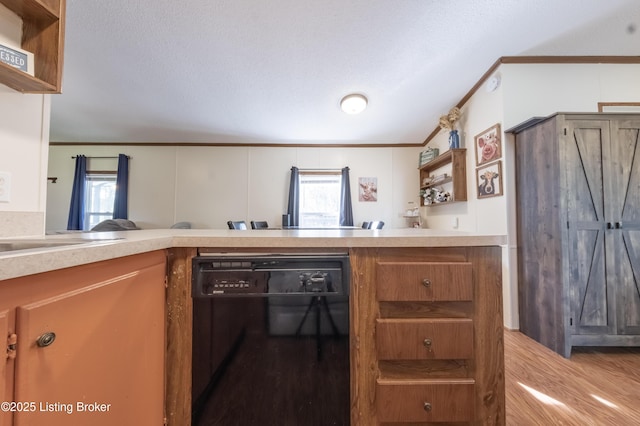 kitchen with open shelves, dishwasher, a wealth of natural light, and ornamental molding