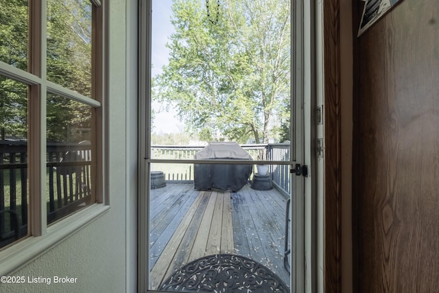 entryway featuring wood-type flooring