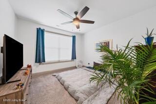 bedroom with carpet flooring