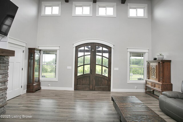 501 Shumate Ln, Bardstown, KY 40004 - entrance foyer featuring french doors, a towering ceiling, wood finished floors, plenty of natural light, and arched walkways