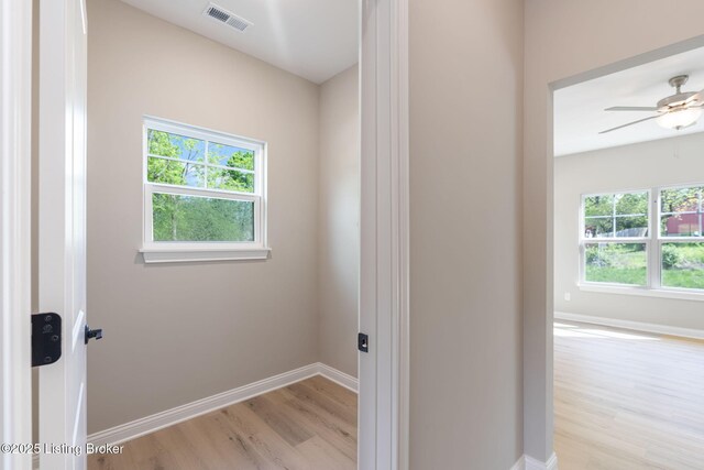 1343 Etawah Ave, Louisville, KY 40222 - photo 6