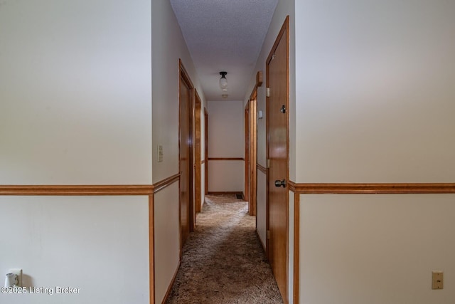 4217 Deckard School Rd, Radcliff, KY 40160 - hallway with carpet and a textured ceiling