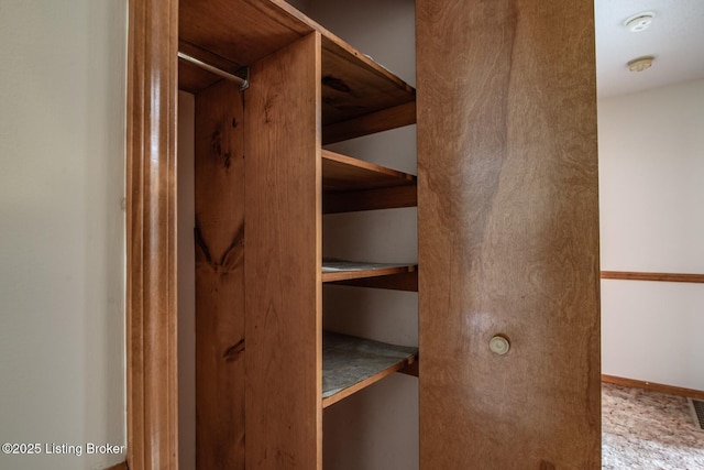4217 Deckard School Rd, Radcliff, KY 40160 - view of spacious closet