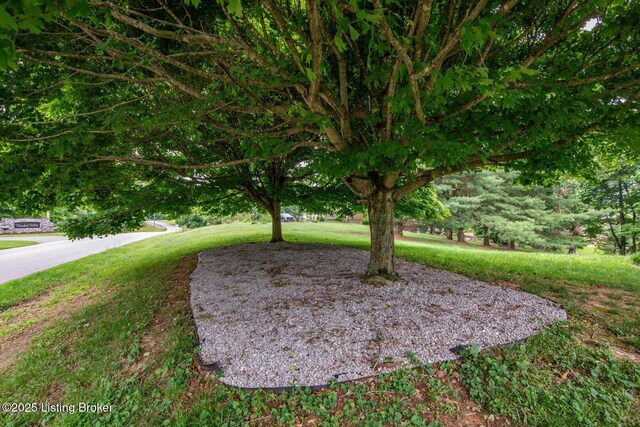 4217 Deckard School Rd, Radcliff, KY 40160 - view of grassy yard