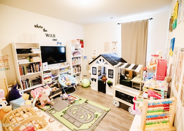 playroom featuring wood finished floors