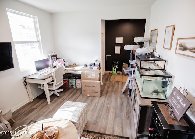 office space with baseboards and wood finished floors