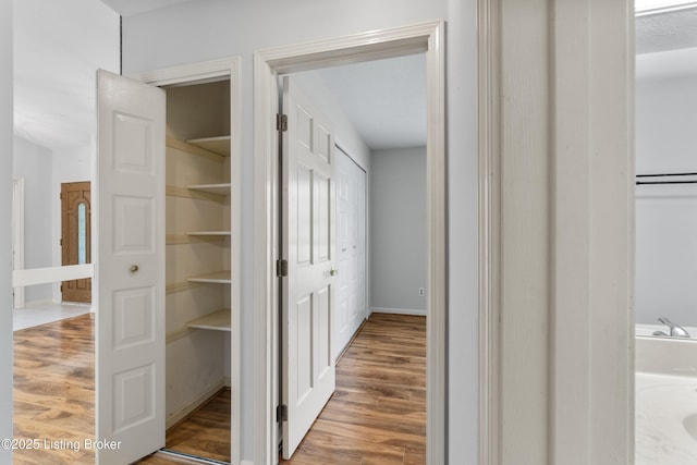 view of closet