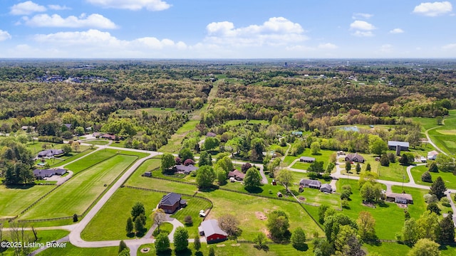 aerial view