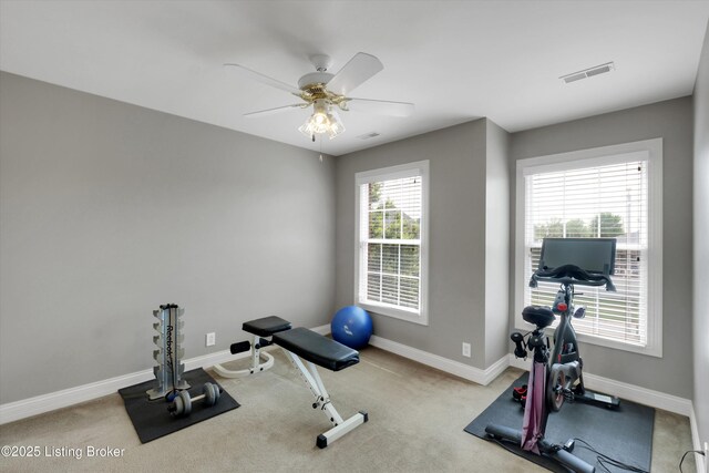3101 Shady Springs Dr, Louisville, KY 40299 - photo 39