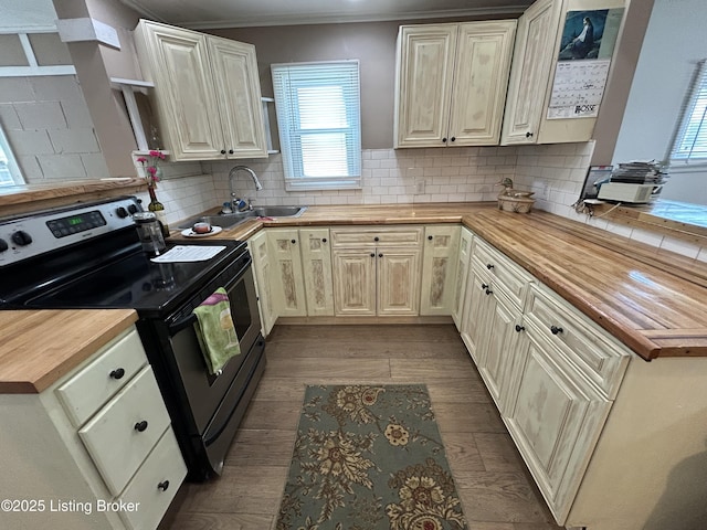 kitchen featuring butcher block counters, a wealth of natural light, a sink, dark wood finished floors, and range with electric cooktop