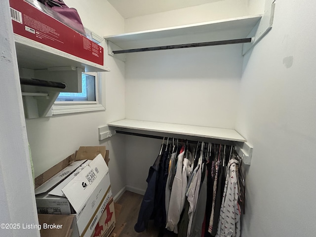 walk in closet with wood finished floors