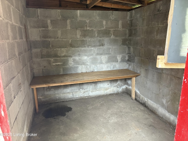 1244 Morgan Ave, Louisville, KY 40213 - unfinished below grade area featuring concrete block wall