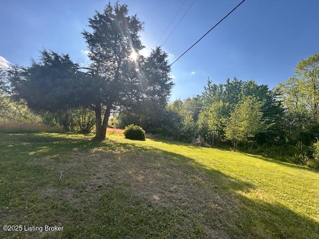 89 Peach St, New Haven, KY 40051 - view of yard