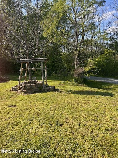 89 Peach St, New Haven, KY 40051 - view of yard