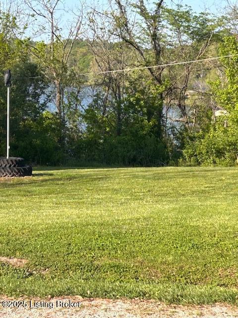 89 Peach St, New Haven, KY 40051 - view of yard