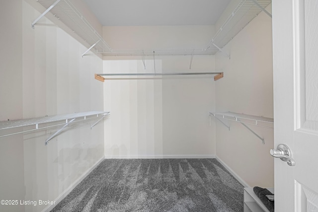 8507 Missionary Ct, Louisville, KY 40291 - walk in closet with carpet floors